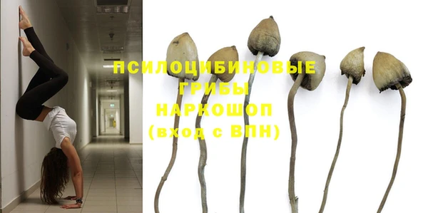 стафф Белоозёрский