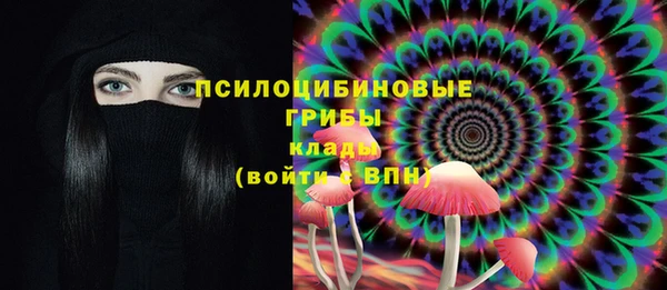 трава Беломорск