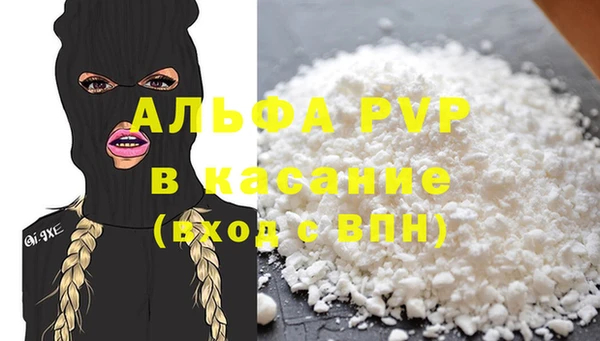 прущие крисы Белокуриха